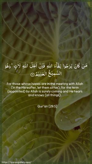 Al-Ankaboot Ayah 5 - Arabic + English wallpaper