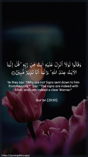 Al-Ankaboot Ayah 50 - Arabic + English wallpaper