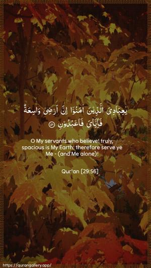 Al-Ankaboot Ayah 56 - Arabic + English wallpaper