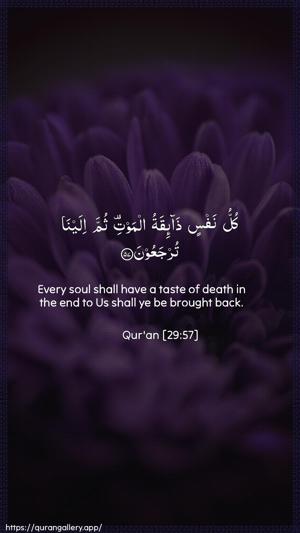 Al-Ankaboot Ayah 57 - Arabic + English wallpaper