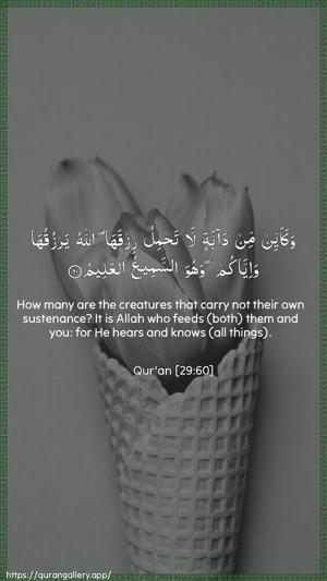 Al-Ankaboot Ayah 60 - Arabic + English wallpaper