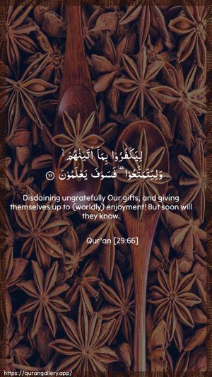 Al-Ankaboot Ayah 66 - Arabic + English wallpaper