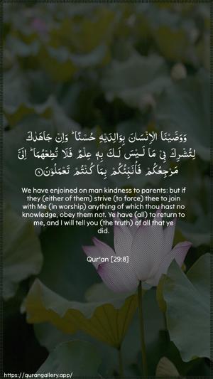 Al-Ankaboot Ayah 8 - Arabic + English wallpaper