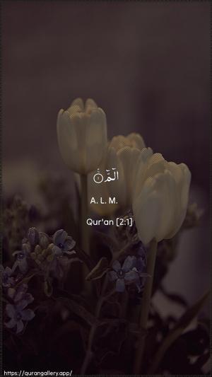 Al-Baqara Ayah 1 - Arabic + English wallpaper