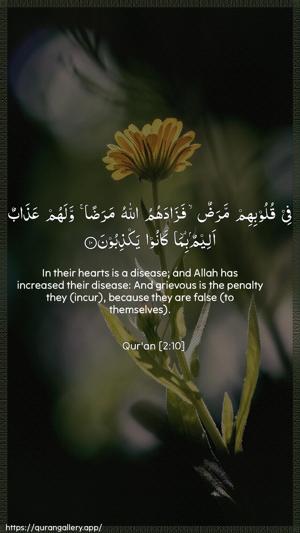 Al-Baqara Ayah 10 - Arabic + English wallpaper