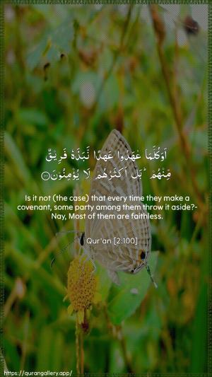 Al-Baqara Ayah 100 - Arabic + English wallpaper