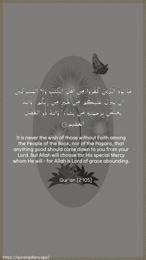 Al-Baqara Ayah 105 - Arabic + English wallpaper