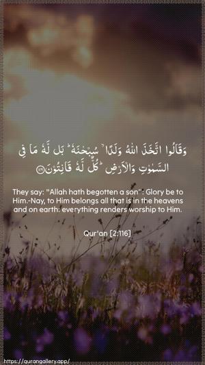 Al-Baqara Ayah 116 - Arabic + English wallpaper