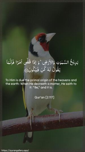 Al-Baqara Ayah 117 - Arabic + English wallpaper