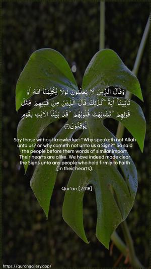 Al-Baqara Ayah 118 - Arabic + English wallpaper