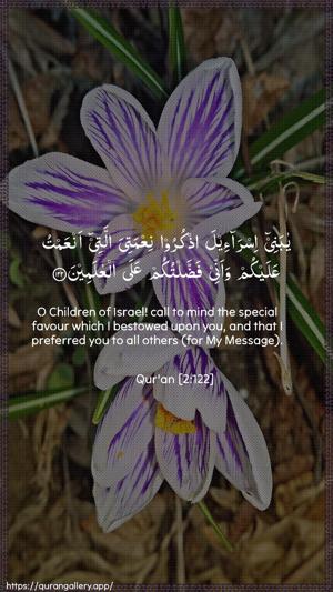 Al-Baqara Ayah 122 - Arabic + English wallpaper