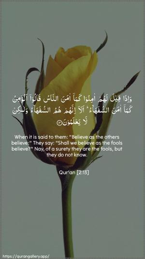 Al-Baqara Ayah 13 - Arabic + English wallpaper