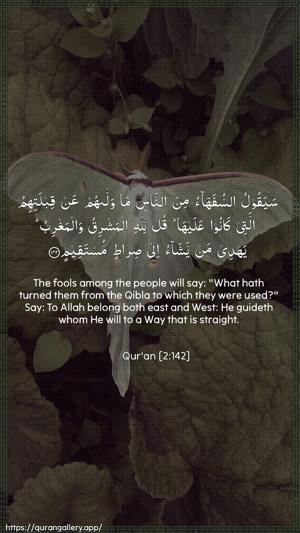 Al-Baqara Ayah 142 - Arabic + English wallpaper