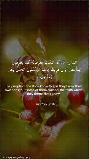 Al-Baqara Ayah 146 - Arabic + English wallpaper