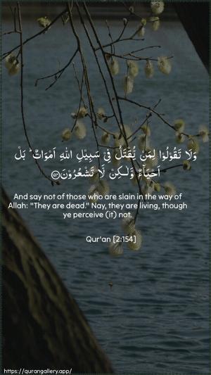 Al-Baqara Ayah 154 - Arabic + English wallpaper