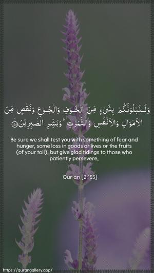 Al-Baqara Ayah 155 - Arabic + English wallpaper