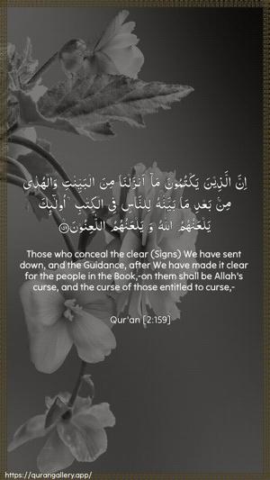 Al-Baqara Ayah 159 - Arabic + English wallpaper
