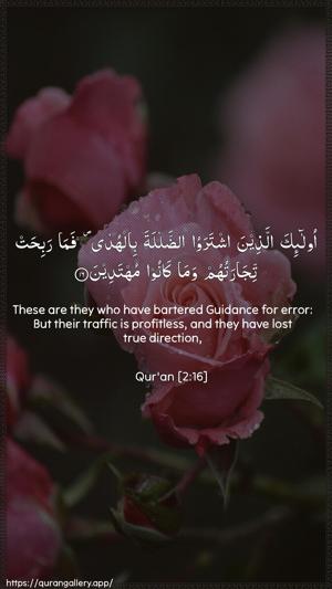 Al-Baqara Ayah 16 - Arabic + English wallpaper