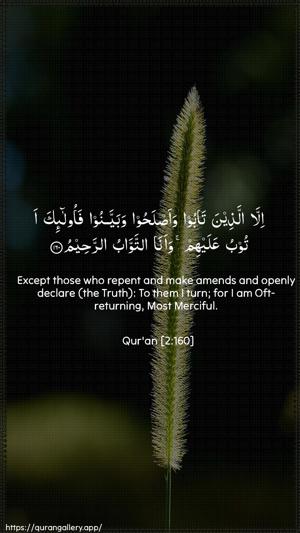 Al-Baqara Ayah 160 - Arabic + English wallpaper