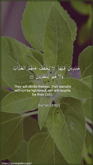 Al-Baqara Ayah 162 - Arabic + English wallpaper