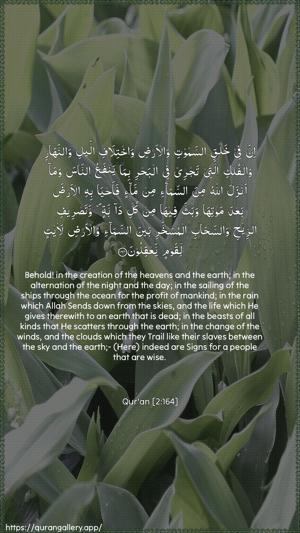Al-Baqara Ayah 164 - Arabic + English wallpaper