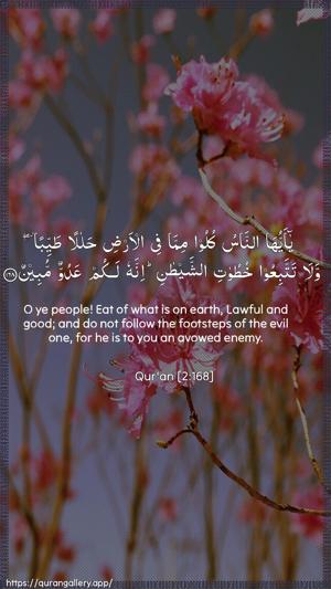 Al-Baqara Ayah 168 - Arabic + English wallpaper