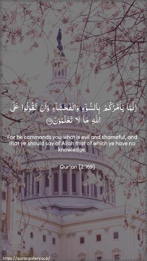 Al-Baqara Ayah 169 - Arabic + English wallpaper