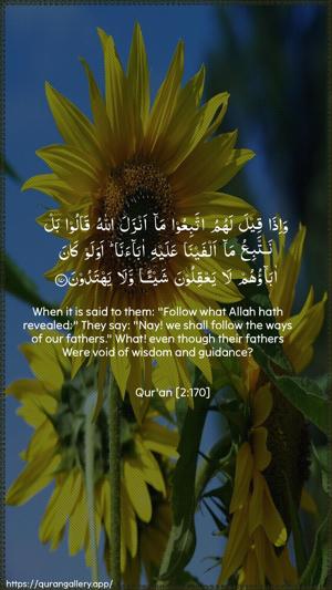 Al-Baqara Ayah 170 - Arabic + English wallpaper