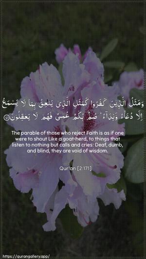 Al-Baqara Ayah 171 - Arabic + English wallpaper