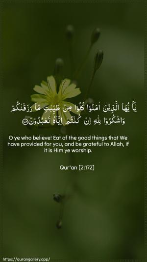 Al-Baqara Ayah 172 - Arabic + English wallpaper