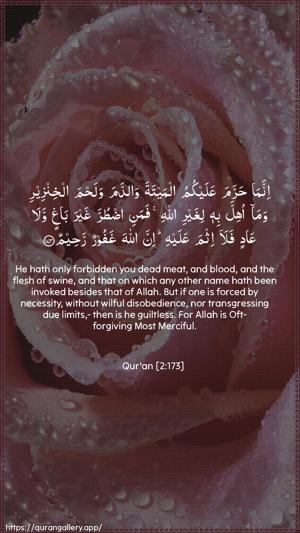 Al-Baqara Ayah 173 - Arabic + English wallpaper
