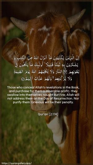 Al-Baqara Ayah 174 - Arabic + English wallpaper