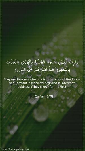 Al-Baqara Ayah 175 - Arabic + English wallpaper