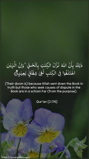 Al-Baqara Ayah 176 - Arabic + English wallpaper