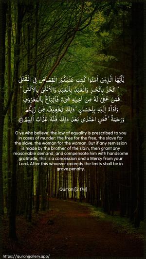 Al-Baqara Ayah 178 - Arabic + English wallpaper