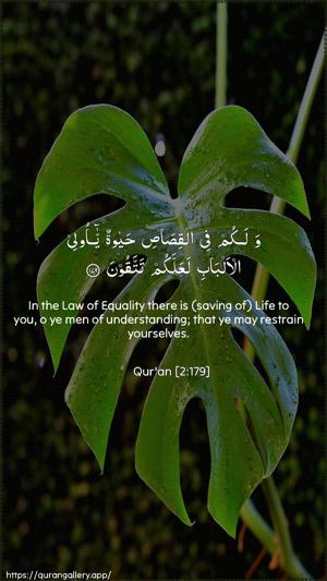 Al-Baqara Ayah 179 - Arabic + English wallpaper