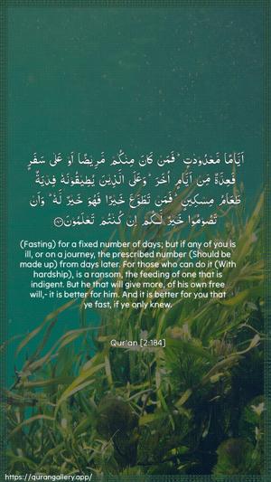 Al-Baqara Ayah 184 - Arabic + English wallpaper
