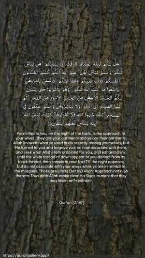 Al-Baqara Ayah 187 - Arabic + English wallpaper