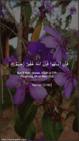 Al-Baqara Ayah 192 - Arabic + English wallpaper