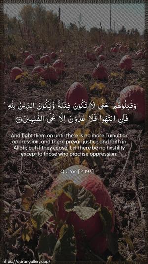 Al-Baqara Ayah 193 - Arabic + English wallpaper