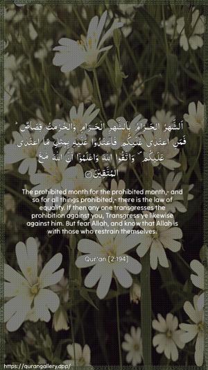 Al-Baqara Ayah 194 - Arabic + English wallpaper