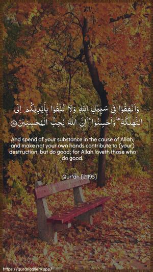 Al-Baqara Ayah 195 - Arabic + English wallpaper