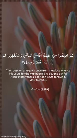 Al-Baqara Ayah 199 - Arabic + English wallpaper