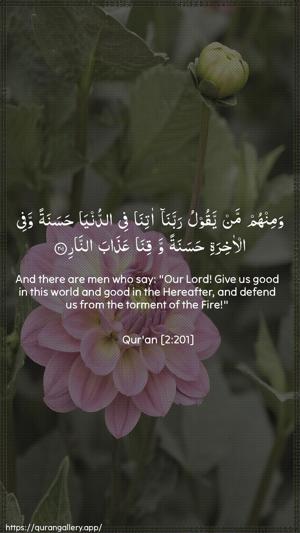 Al-Baqara Ayah 201 - Arabic + English wallpaper