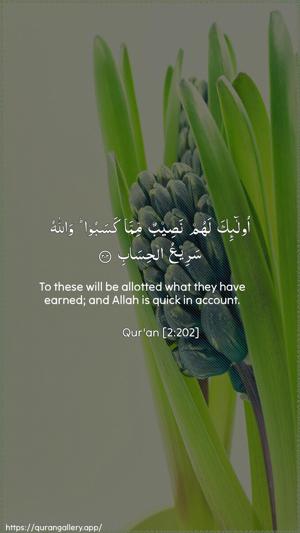 Al-Baqara Ayah 202 - Arabic + English wallpaper
