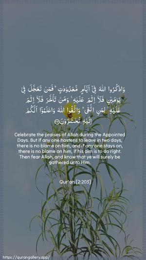 Al-Baqara Ayah 203 - Arabic + English wallpaper