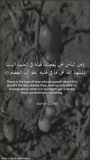 Al-Baqara Ayah 204 - Arabic + English wallpaper