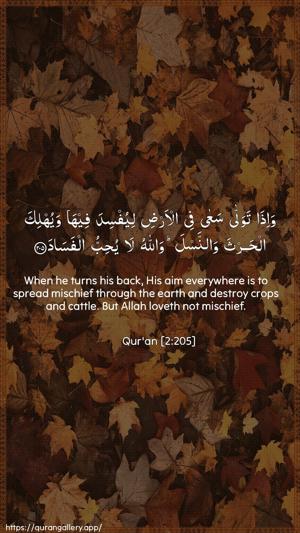 Al-Baqara Ayah 205 - Arabic + English wallpaper