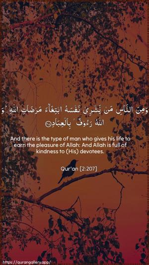 Al-Baqara Ayah 207 - Arabic + English wallpaper