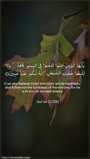 Al-Baqara Ayah 208 - Arabic + English wallpaper